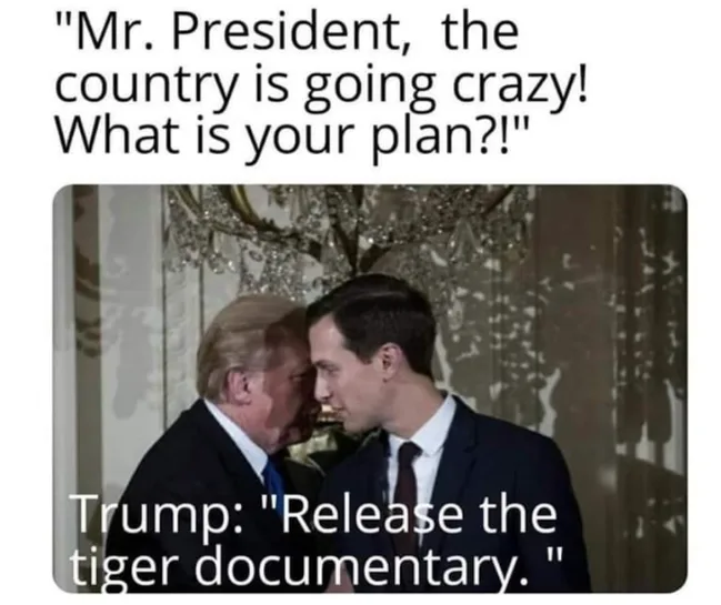 Two men whispering; text above: "Mr. President, the country is going crazy! What is your plan?!", below: "Trump: Release the tiger documentary."