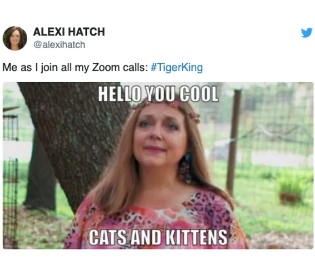 Woman with long hair and flower crown, wearing a colorful shirt, captioned: "HELLO YOU COOL CATS AND KITTENS."