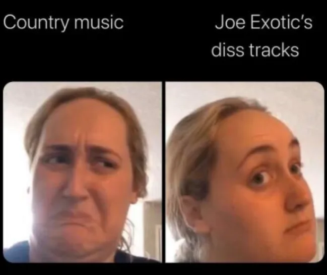 Person frowning at "Country music" and approving of "Joe Exotic’s diss tracks" with contrasting expressions.