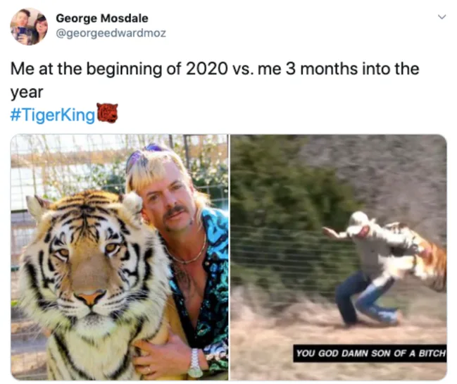 Man posing with tiger on left, chased by tiger on right; text compares start of 2020 to 3 months later. #TigerKing
