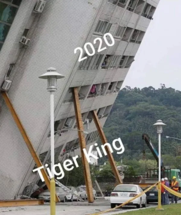 "A leaning building propped with beams, labeled '2020 Tiger King', depicting a meme about 2020's turbulent events."