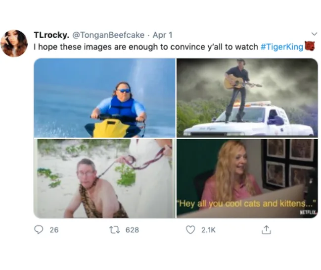 Collage of scenes from "Tiger King": jet ski, guitar on car, man on beach, woman with text "Hey all you cool cats and kittens."