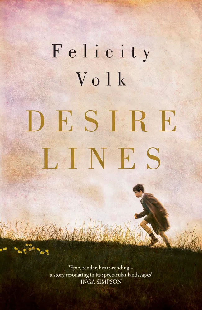 Cover of "Desire Lines" by Felicity Volk, showing a boy running on grass under a cloudy sky.