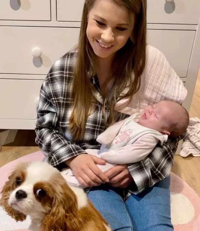 Bindi Irwin and Chandler Powell celebrate sweet family milestone with ...