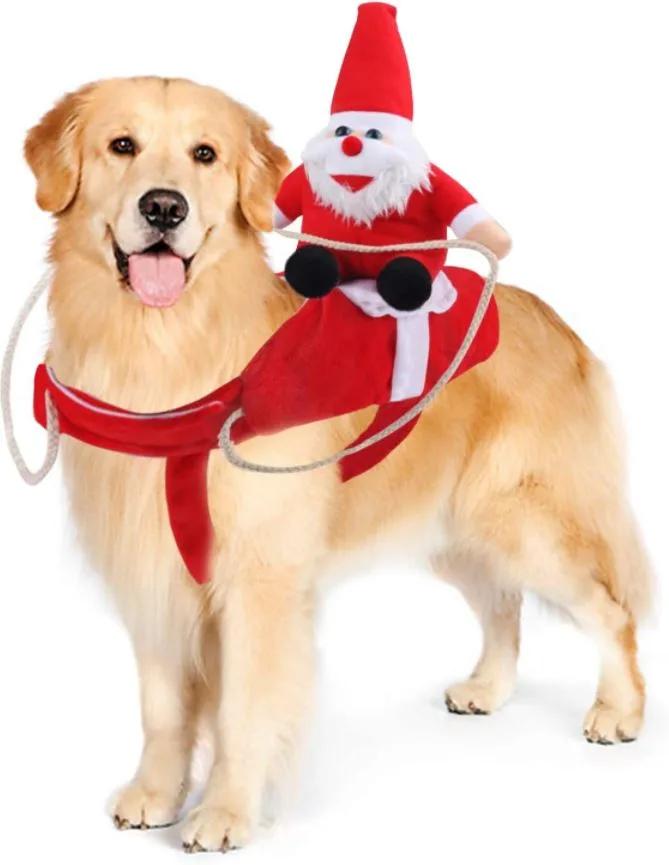 The best Christmas costumes for your dog 2021 — free download