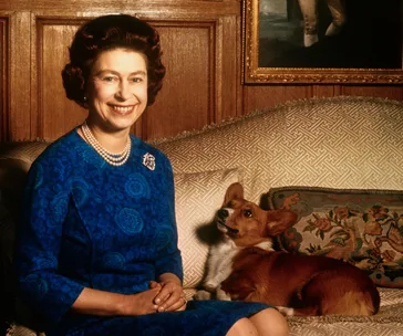 A heartwarming detail about Queen Elizabeth’s final moments has been revealed