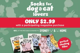 Socks for dog and cat lovers, $2.99 with magazine purchase. Proceeds benefit Sydney dogs and cats; perfect gift.