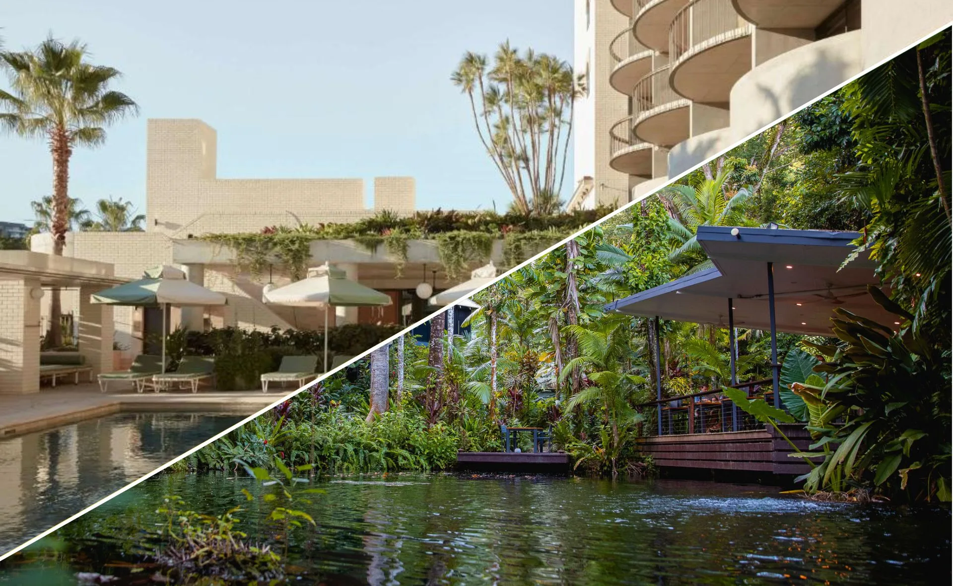 Split image: Top half shows a modern hotel pool area, bottom half depicts lush tropical greenery by water.