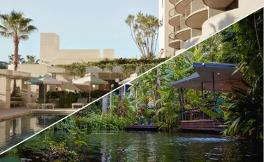 Split image: Top half shows a modern hotel pool area, bottom half depicts lush tropical greenery by water.