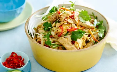 Fresh summer salad with cilantro, chili, and peanuts in a yellow bowl.