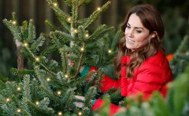 Five Christmas trees that come pre-lit for utter convenience