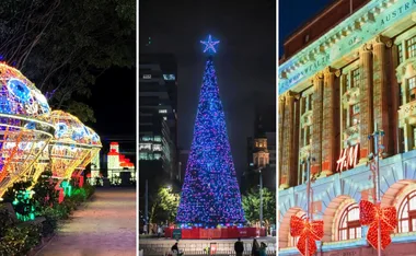 Festive light displays in Australia: glowing decorations, illuminated tree, and embellished building with red bows.