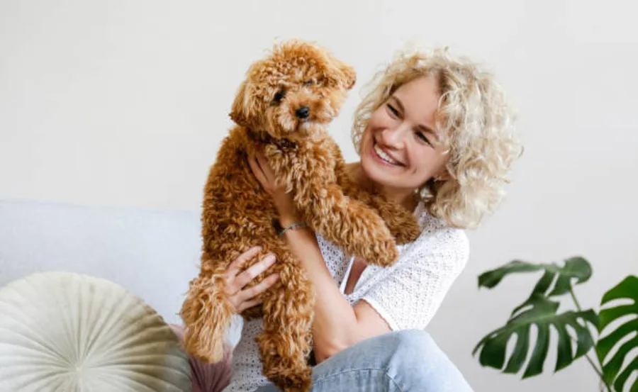 A woman smiling and holding a small, curly-haired brown dog indoors.