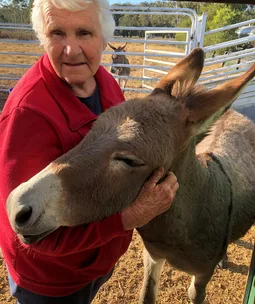 Elderly woman in red sweater hugging a donkey in a fenced outdoor area. Another donkey is visible in the background.