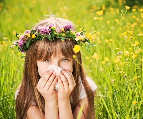Do you get seasonal allergies? we look at the best naturopath essential oils to help