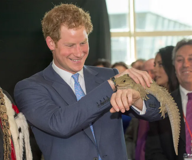 Man in suit smiling, holding a tuatara lizard in a busy indoor setting.