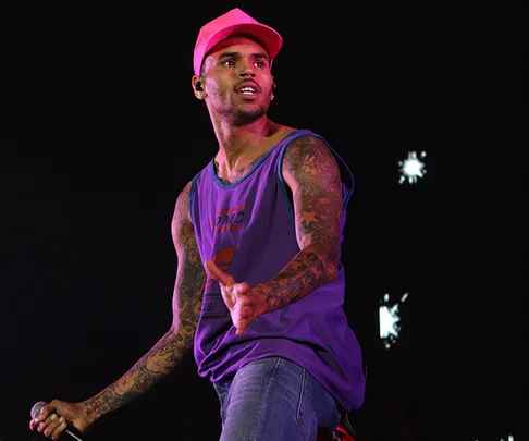 Chris Brown fan breaks into his home