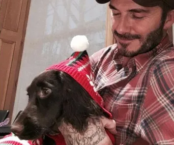 The Beckhams get into the festive spirit