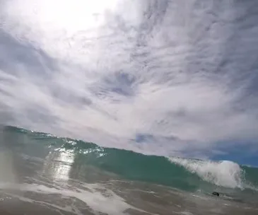 Video: Shark swims between dad and daughter at Papamoa beach