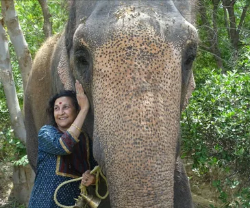 Circus elephant enjoys freedom after 50 years in captivity