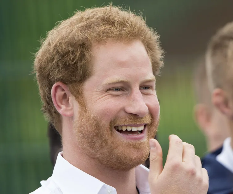 Prince Harry receives cutest marriage proposal ever(01)