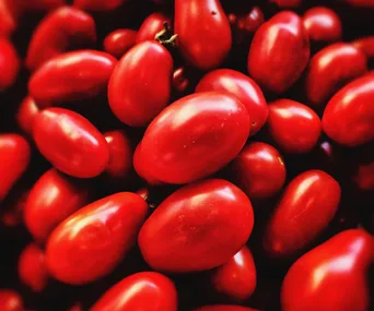 Why tomatoes should not be stored in the fridge: science