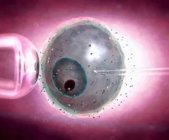 Check your chance of conceiving with new IVF calculator