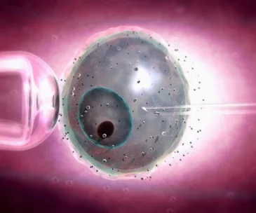Check your chance of conceiving with new IVF calculator