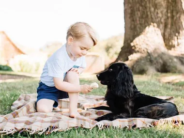 Don’t have another baby, science confirms your kid would prefer a pet