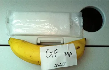 Is this the worst gluten-free airline meal ever?