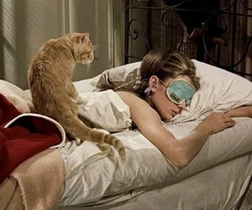 What are your dreams trying to tell you?