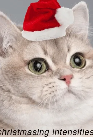 Cat wearing a Santa hat with wide eyes, captioned "(christmasing intensifies)" at the bottom.