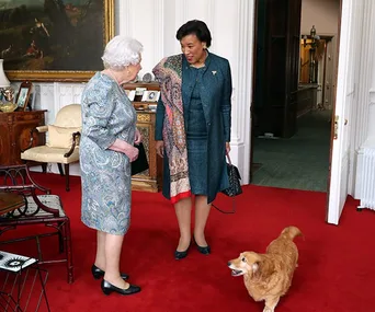 The Queen’s corgis crash a very important Commonwealth meeting
