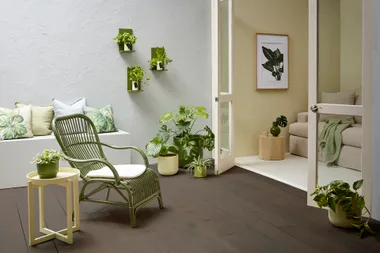 Outdoor area with green chair and plants