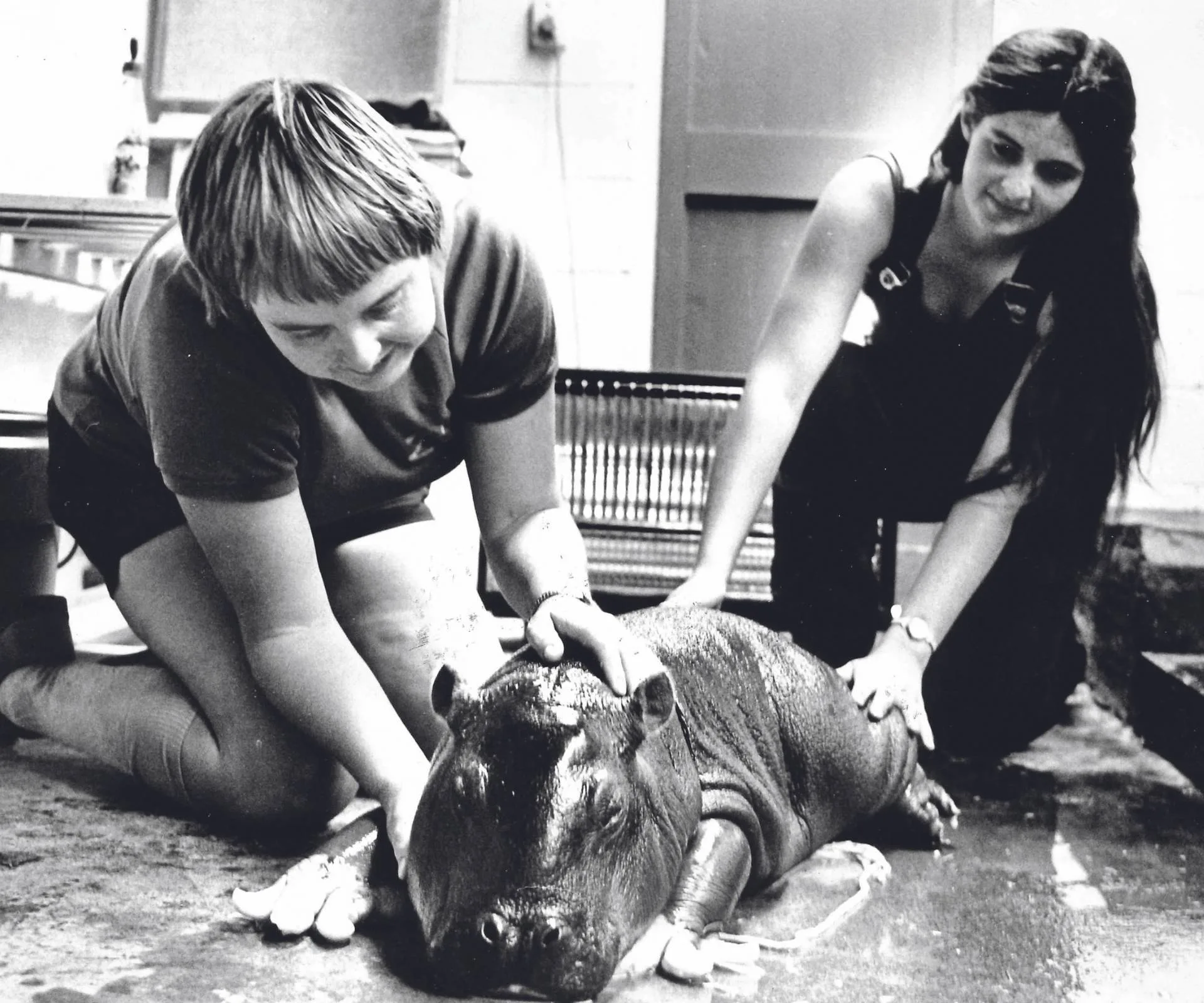 Young Christine and a colleague tend to a baby hippo on the ground