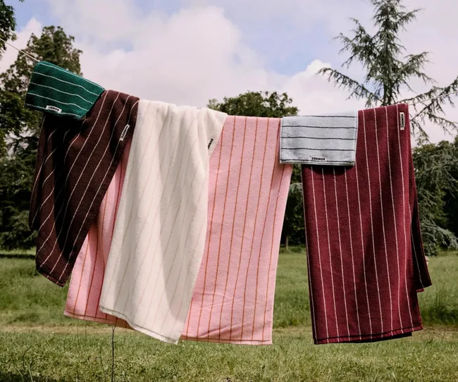 Striped towels in various colors hanging on a line outdoors, with green trees in the background.