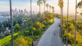 A woman walking down the road in LA