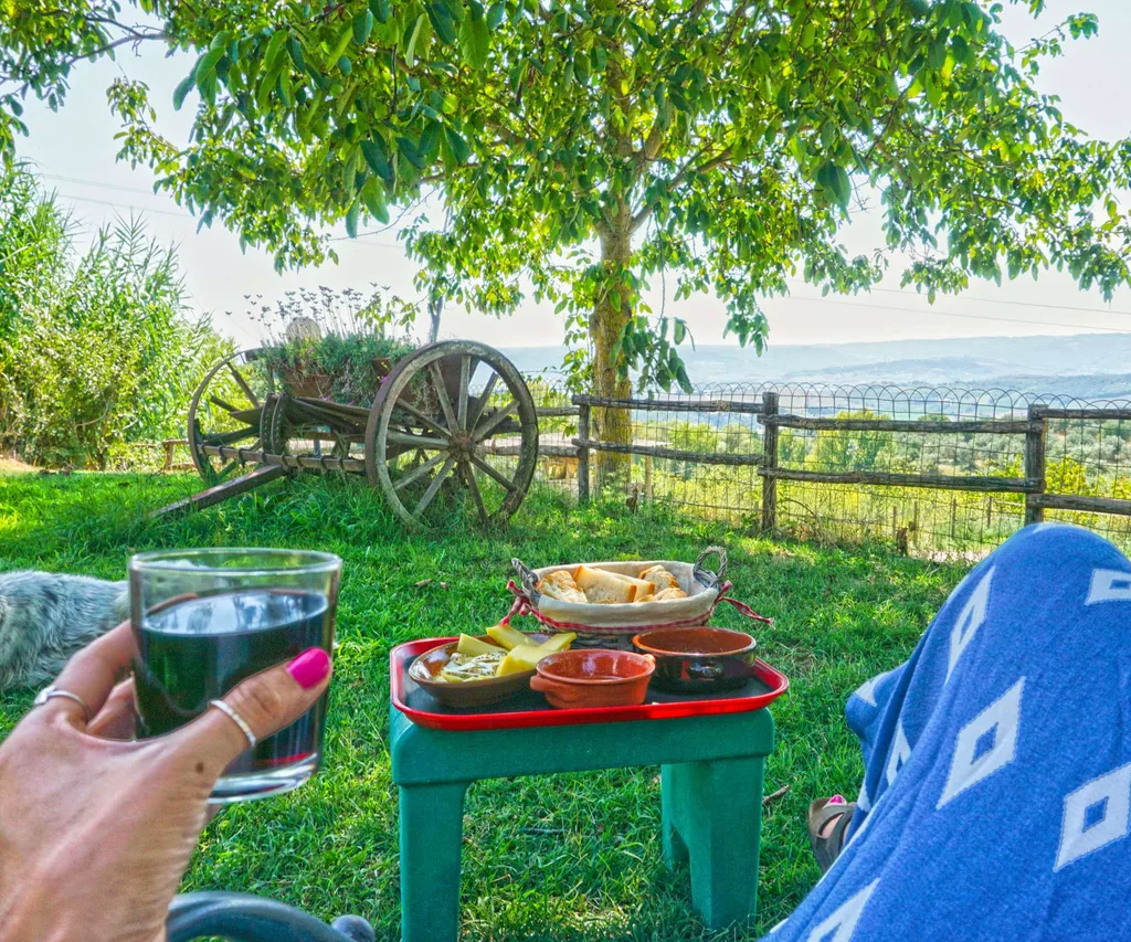 Cheers with the view over a countryside landscape