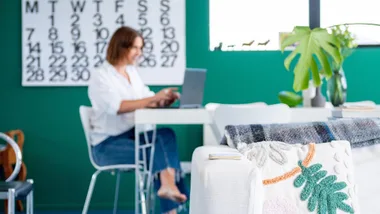Person in white shirt using a laptop at a desk in a bright room with green walls and plants.