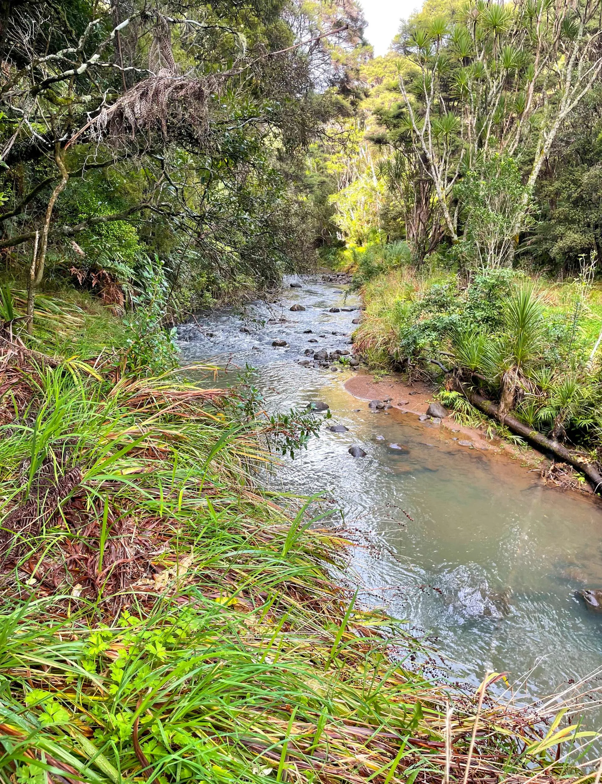 A river