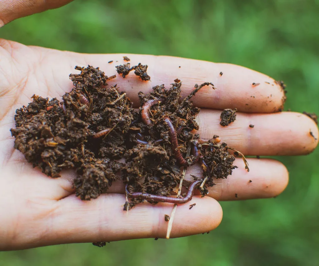 Worms in the soil are looking forward to your spring gardening