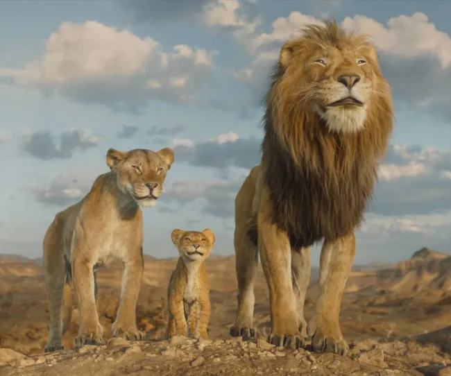 Lions Nala, Kiara and Simba