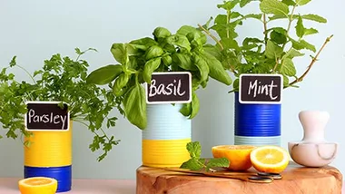 Colourfully painted tins with kitchen herbs planted inside