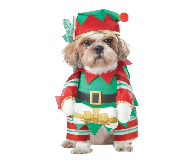 Santa's elf pet costumes