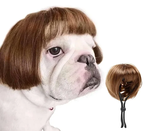 Bob cut hair wig for a pet