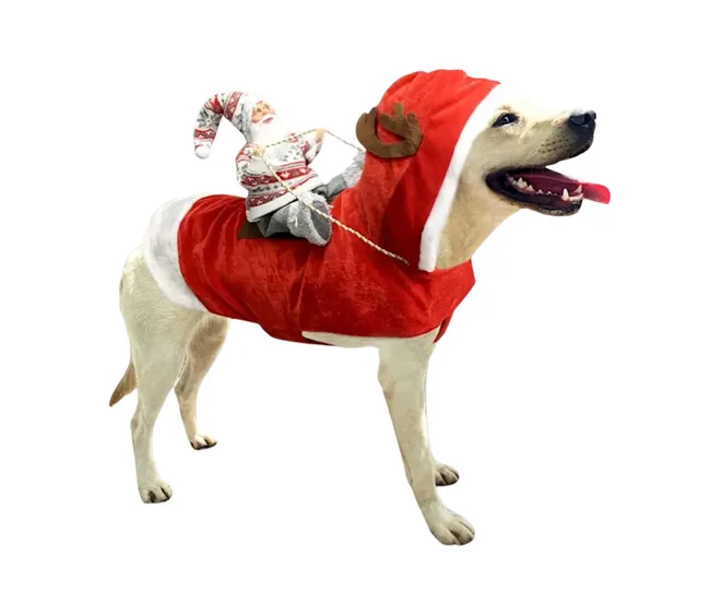 Santa's sleigh pet costumes