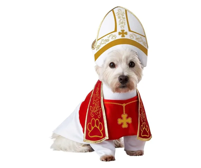 The pope pet costumes