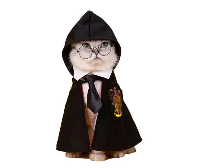 Harry Potter pet costumes