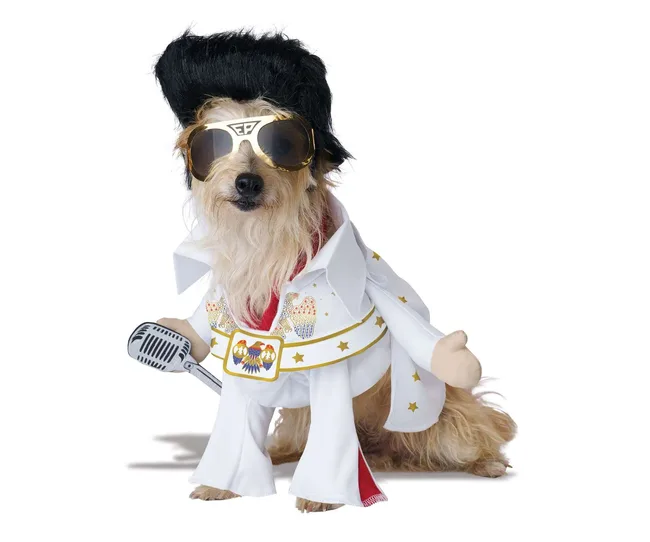 Elvis Presley pet costumes