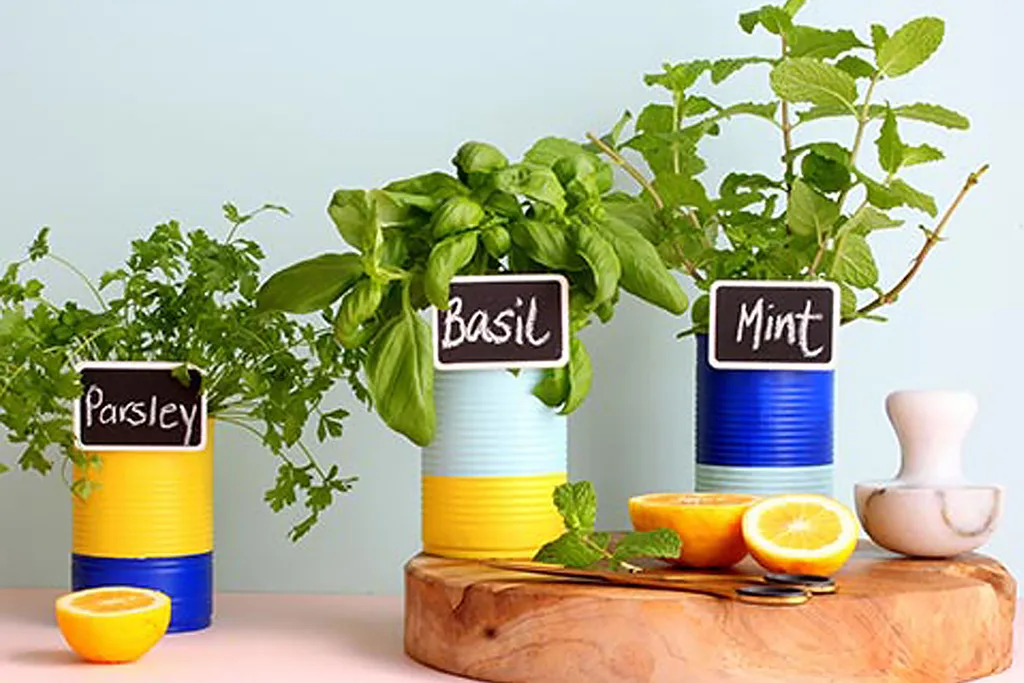 Colourfully painted tins with kitchen herbs planted inside